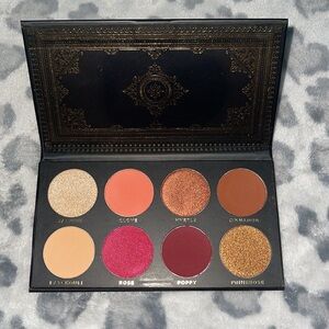 NEW Ace Beaute Grandiose Palette
